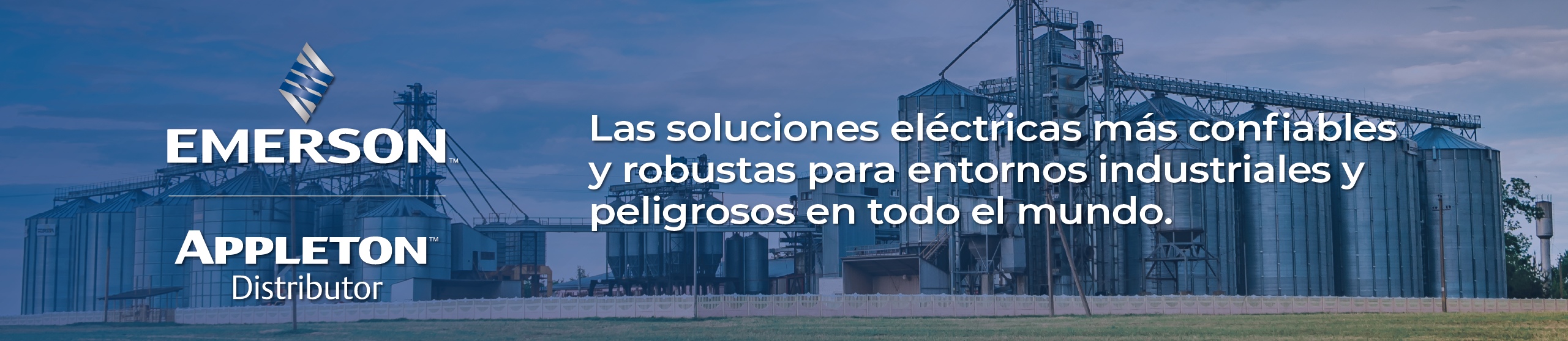 Banner Appleton Redes Eléctricas 2