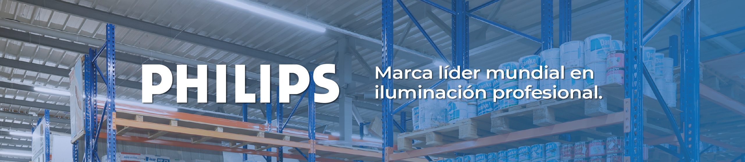 Banner Philips Redes Eléctricas 2